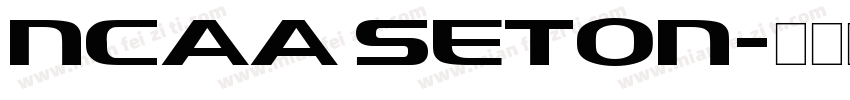 NCAA Seton字体转换